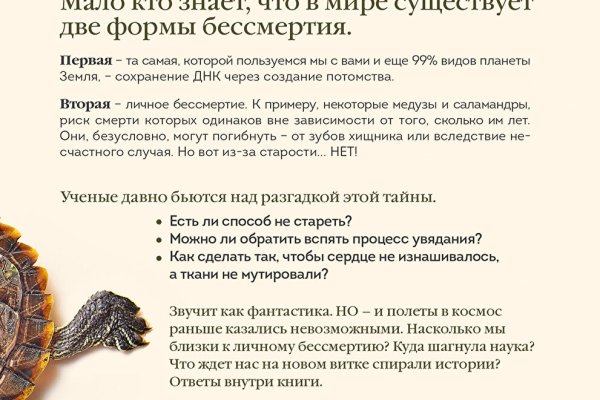 Кракен онион даркнет площадка