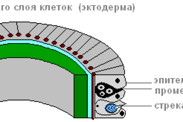 Кракен официальный сайт онион