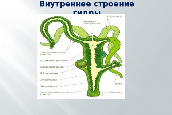 Спрут мега кракен