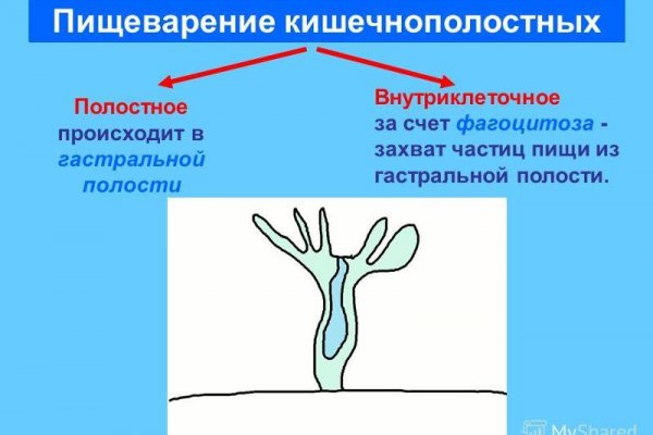 Kraken at зеркало