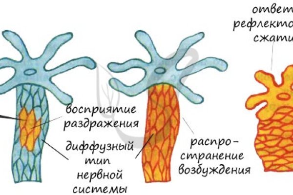 Как попасть на кракен